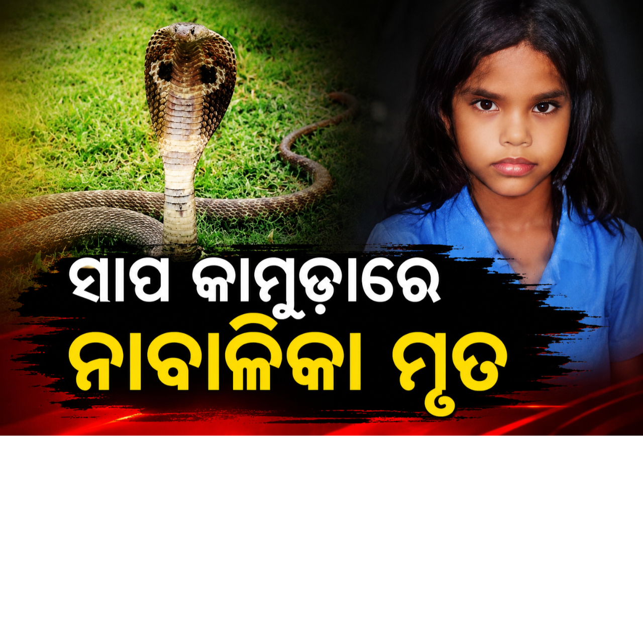 ସାପ କାମୁଡ଼ାରେ ନାବାଳିକା ମୃତ